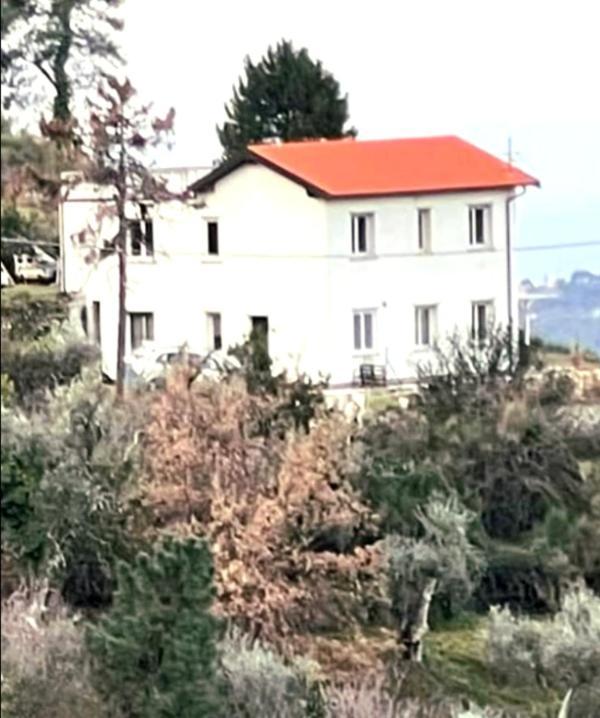 Villa Dei Sogni, With Private Pool ,Roof Terrace And Spectacular Views Of Monaco Ans Liguria Mountains Vallebona Exterior foto